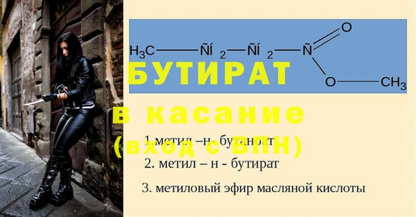 индика Осинники