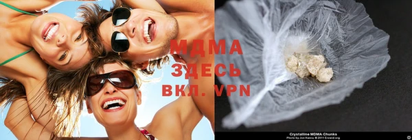 индика Осинники