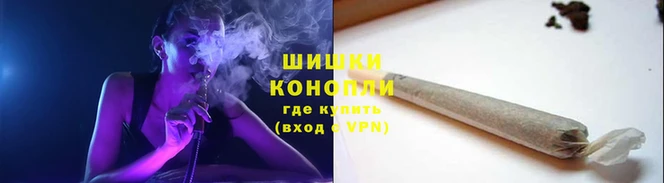 индика Осинники