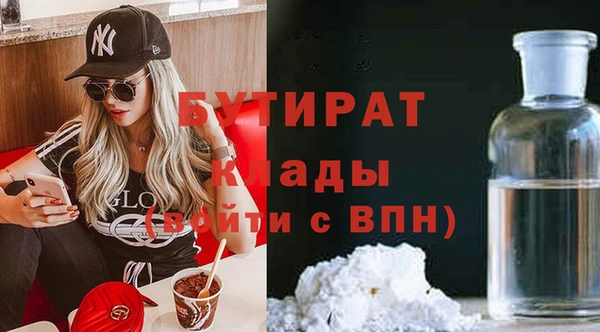 индика Осинники
