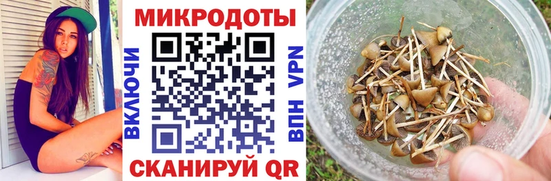 hydra маркетплейс  что такое наркотик  Абинск  Псилоцибиновые грибы Psilocybine cubensis 